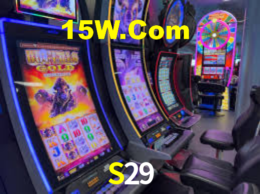S29